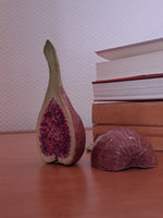 Dentro do figo I // Fernanda Peralta