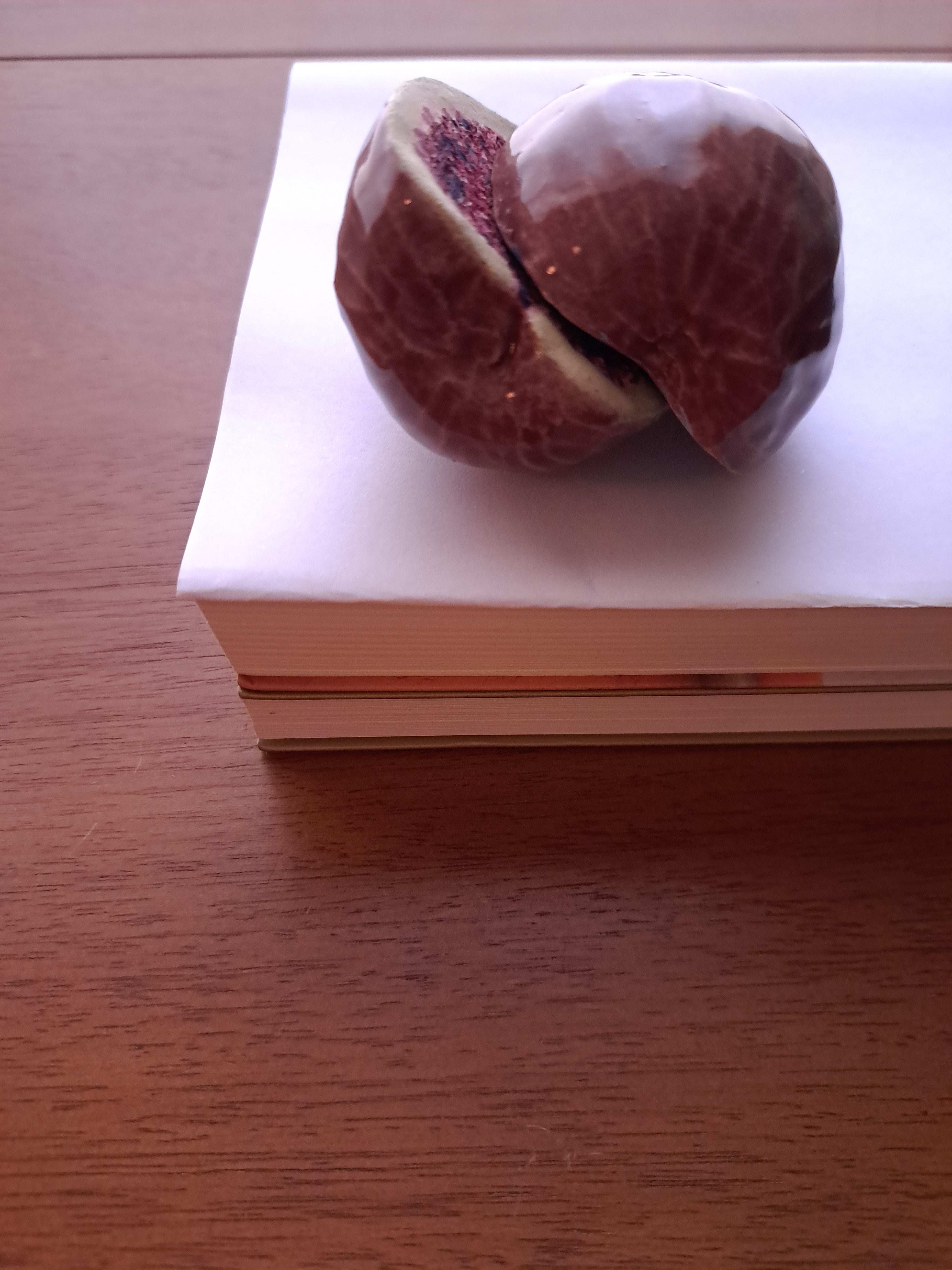 Dentro do figo I // Fernanda Peralta