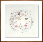 alumbramento: a origem do alfabeto // Jacqueline Aronis