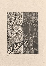 Luminária // Silvia Ruiz