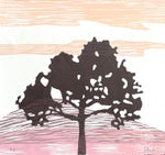 Série 'Árvores' // Silvia Ruiz