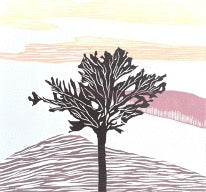 Série 'Árvores' // Silvia Ruiz