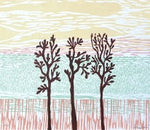 Série 'Árvores' // Silvia Ruiz