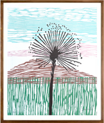 Chuveirinho do Cerrado // Silvia Ruiz