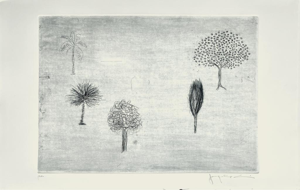 Oásis // Jacqueline Aronis