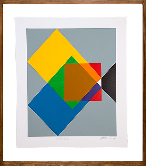 Complexo I // Antonio Peticov