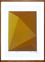 Ocre V // Antonio Peticov