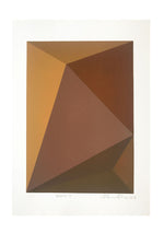 Brown // Antonio Peticov