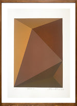 Brown // Antonio Peticov