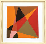 Geobrown // Antonio Peticov