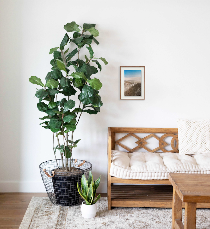 Sem título // Eleonora Aronis