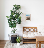 Sem título // Eleonora Aronis