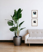 Fotonovela 6 // Carlos Clémen