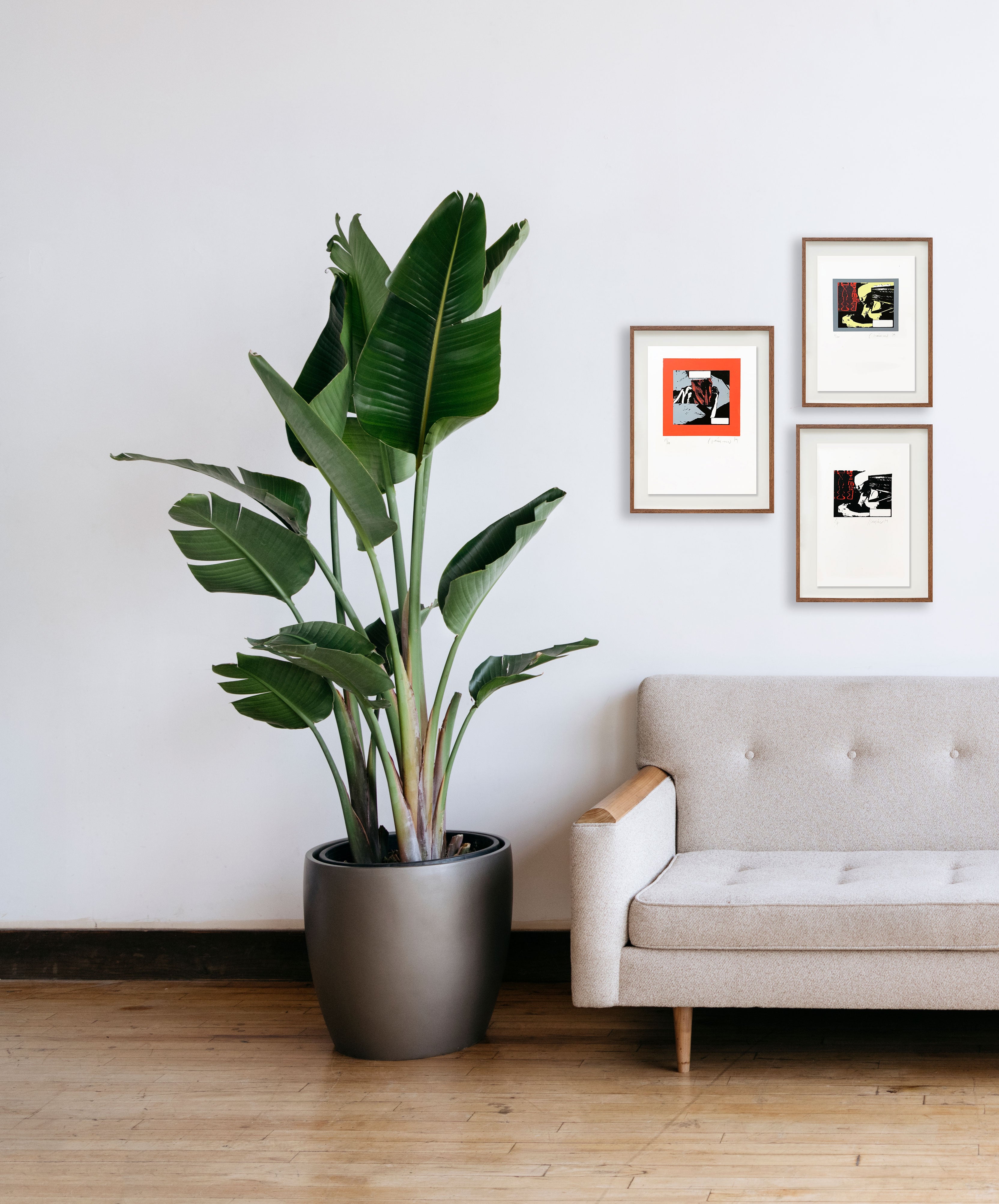 Fotonovela 8 // Carlos Clémen