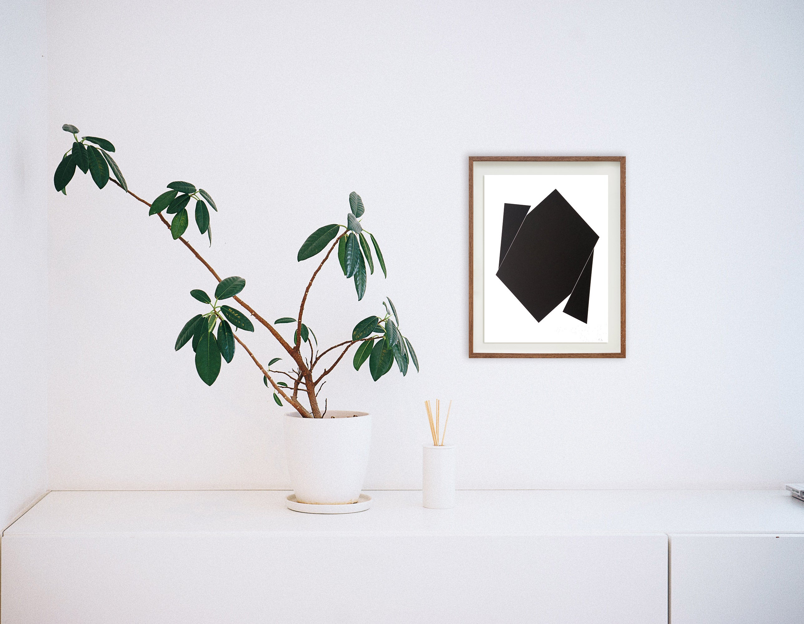 Sem título // Cassia Aresta