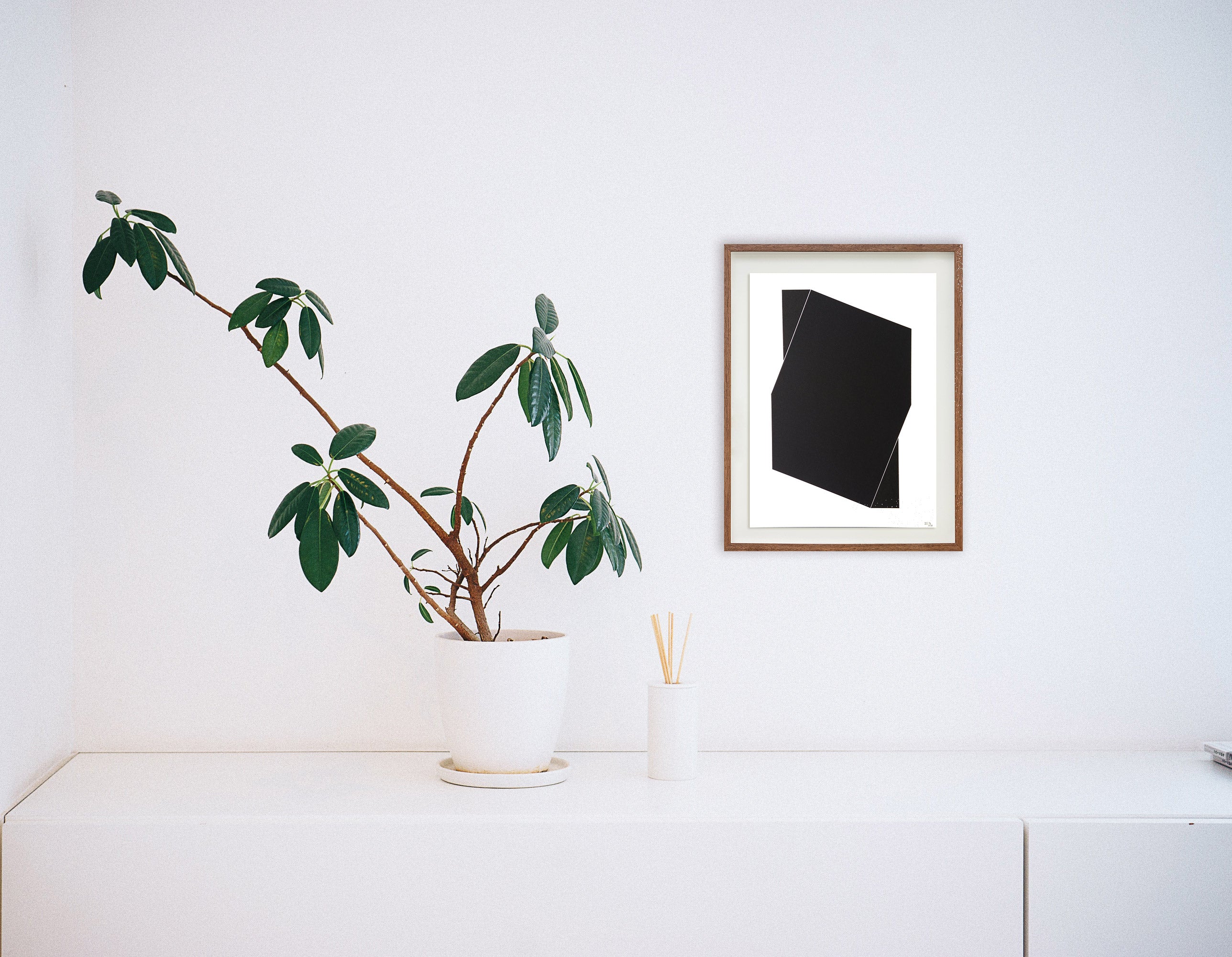 Sem título // Cassia Aresta