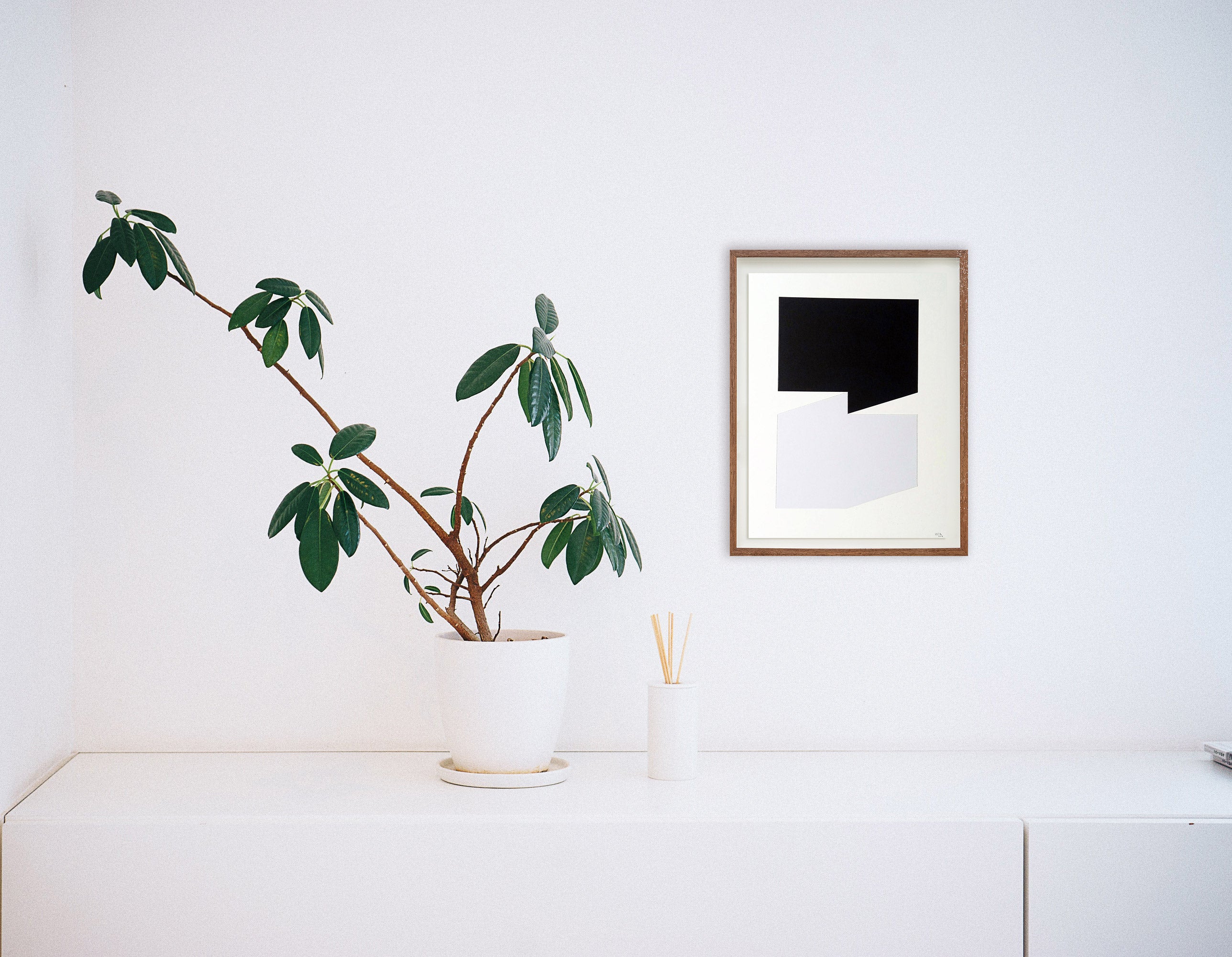 Sem título // Cassia Aresta