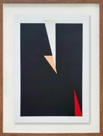 Colagem sobre serigrafia 9 // Cassia Aresta