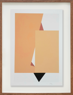 Colagem sobre serigrafia 11 // Cassia Aresta