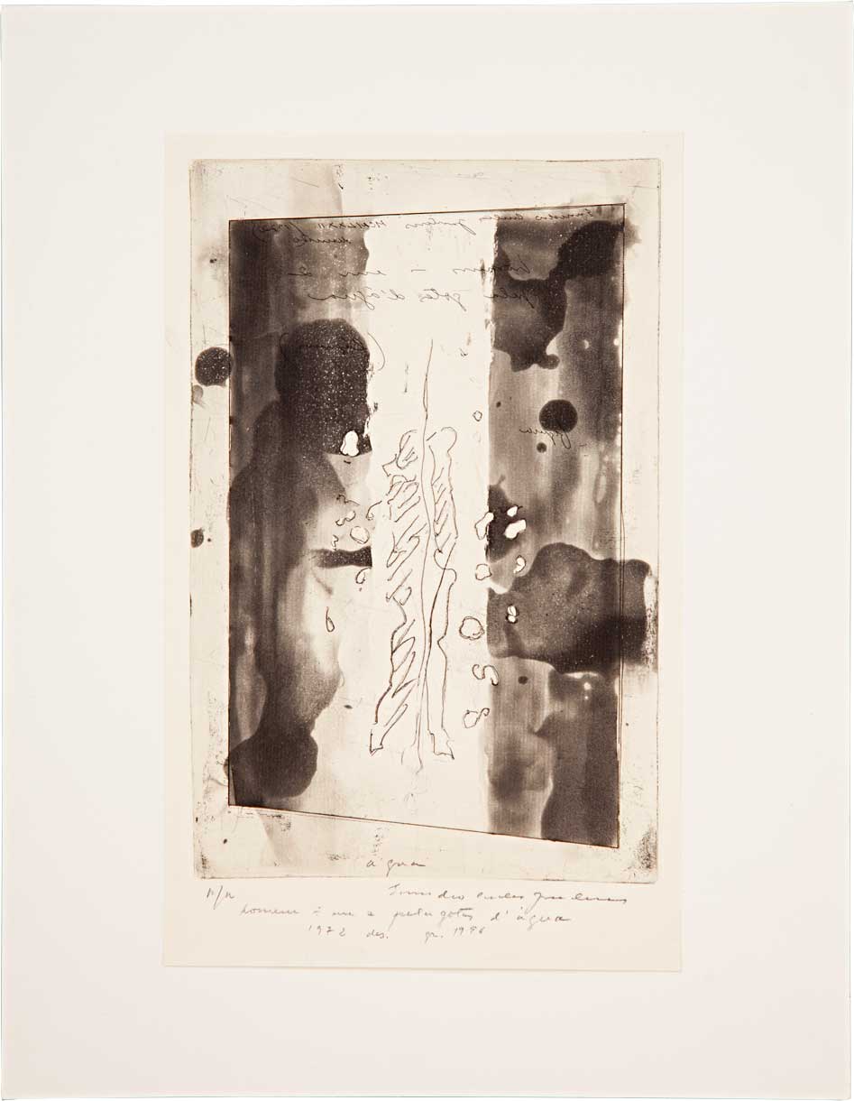 Homem dividido em 2 pela gota d'água // Evandro Carlos Jardim