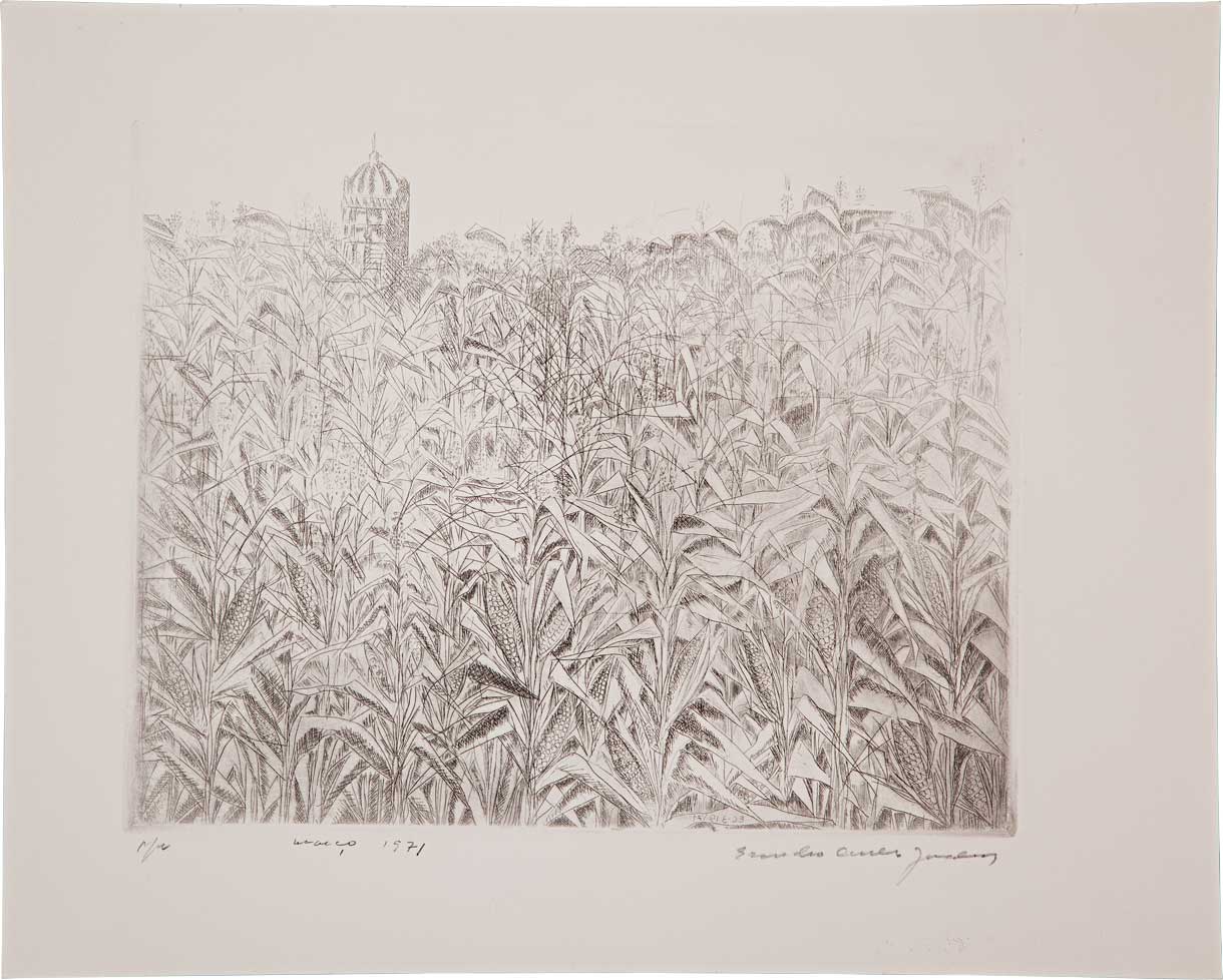 Santo Amaro // Evandro Carlos Jardim