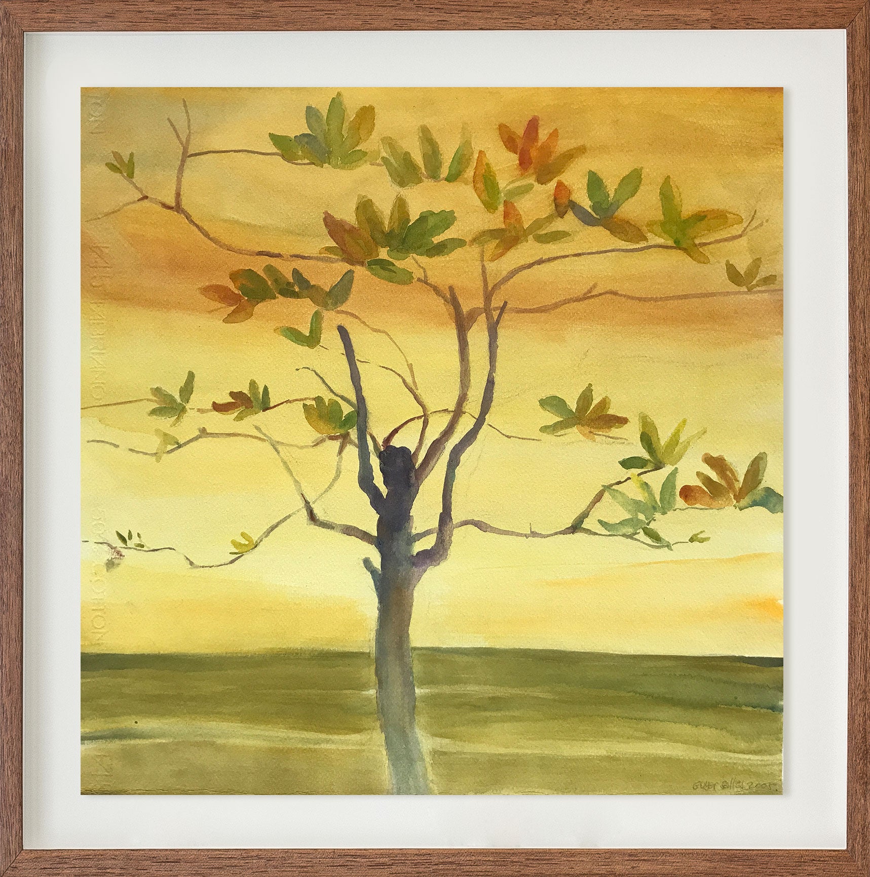 Chapéu de sol // Guyer Salles