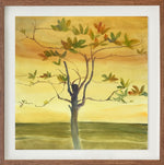 Chapéu de sol // Guyer Salles