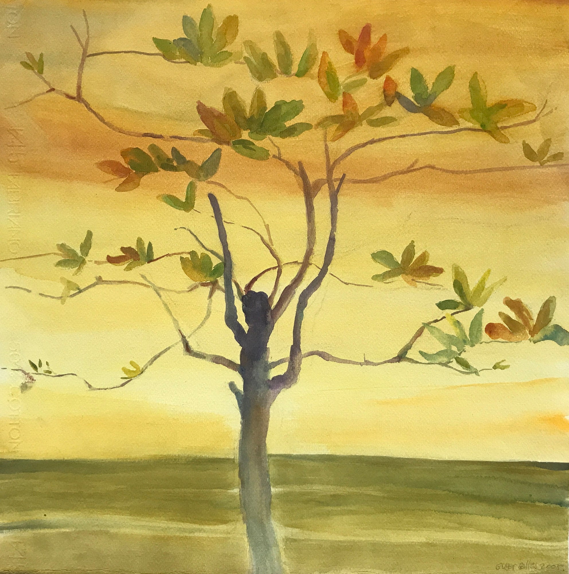 Chapéu de sol // Guyer Salles