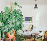 Sem título // Isabel Gouveia