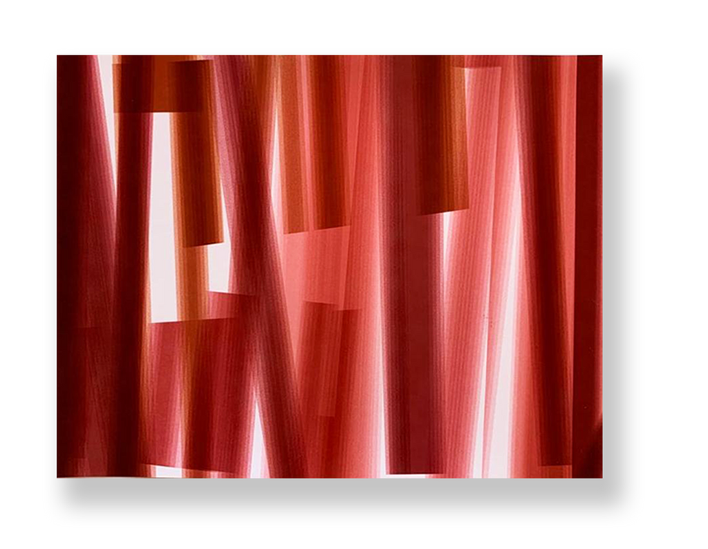 Sem título // Isabel Gouveia