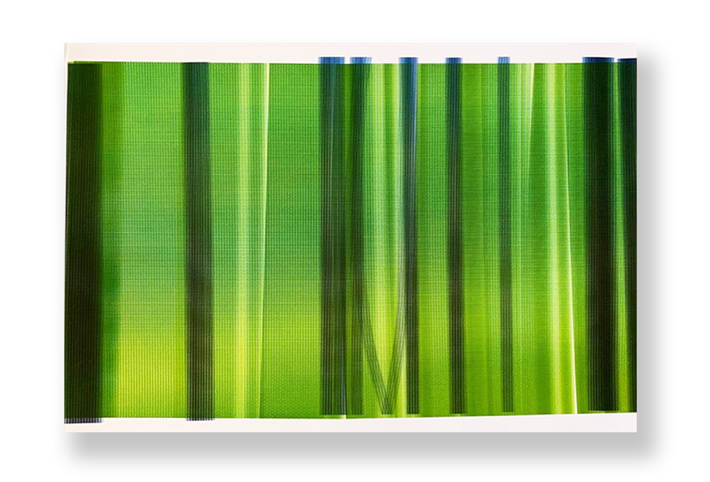 Sem título // Isabel Gouveia