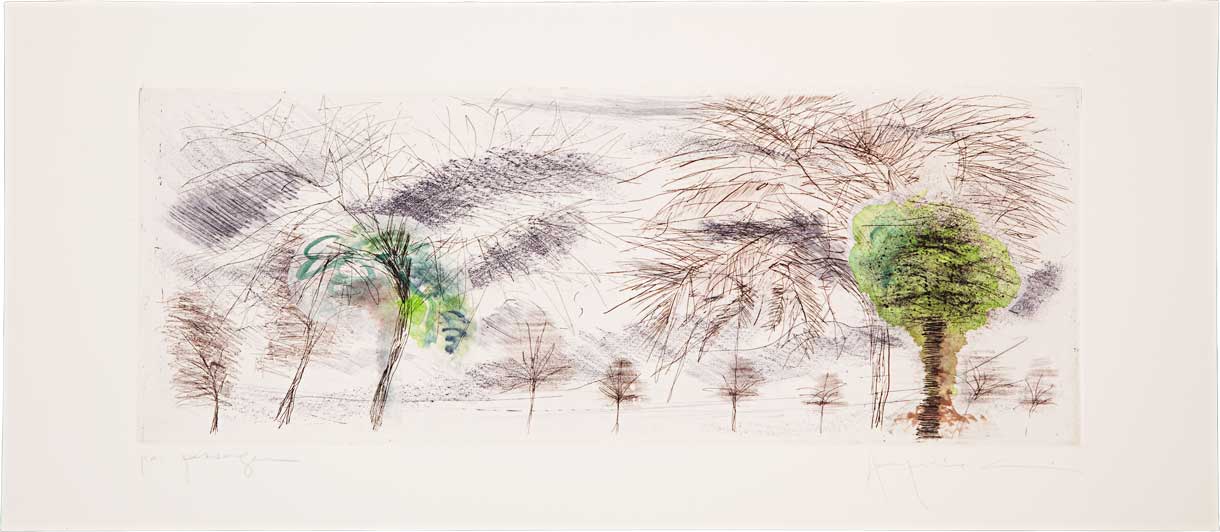 Passagem // Jacqueline Aronis