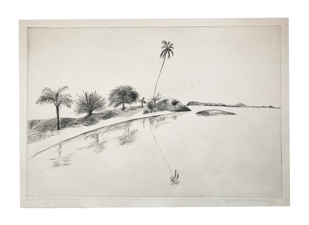 Rio // Jacqueline Aronis