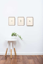 Série 'Tipográficas' // Jaime Prades