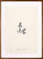 Série 'Tipográficas' // Jaime Prades