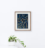 Sem título // Jaime Prades