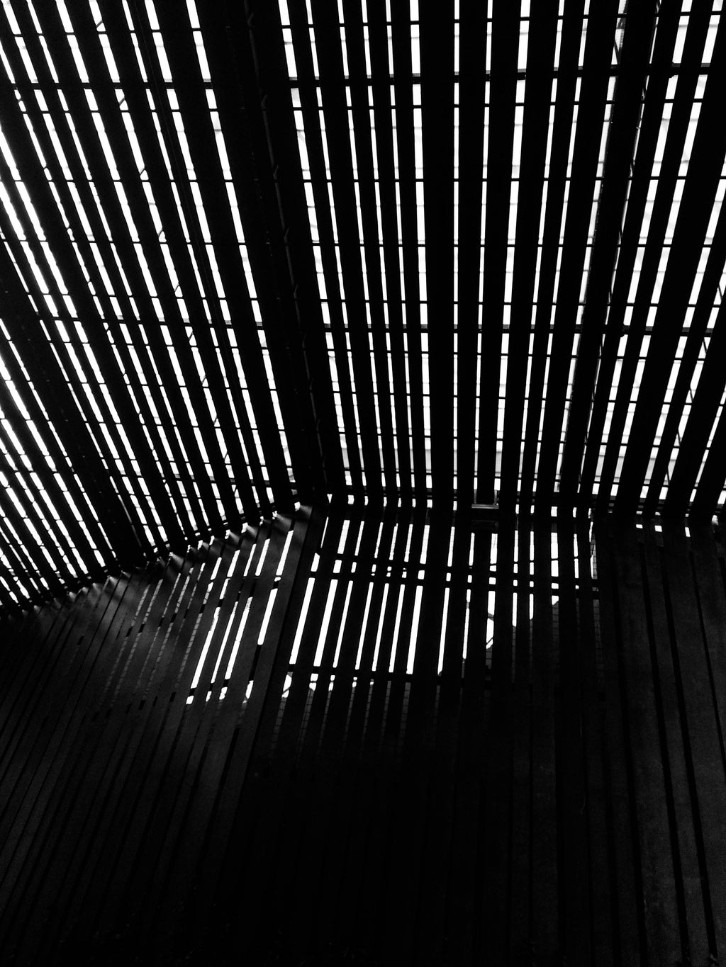 La Lira // Eleonora Aronis