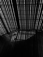 La Lira // Eleonora Aronis