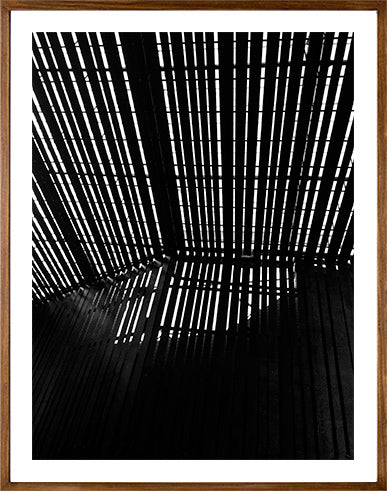 La Lira // Eleonora Aronis