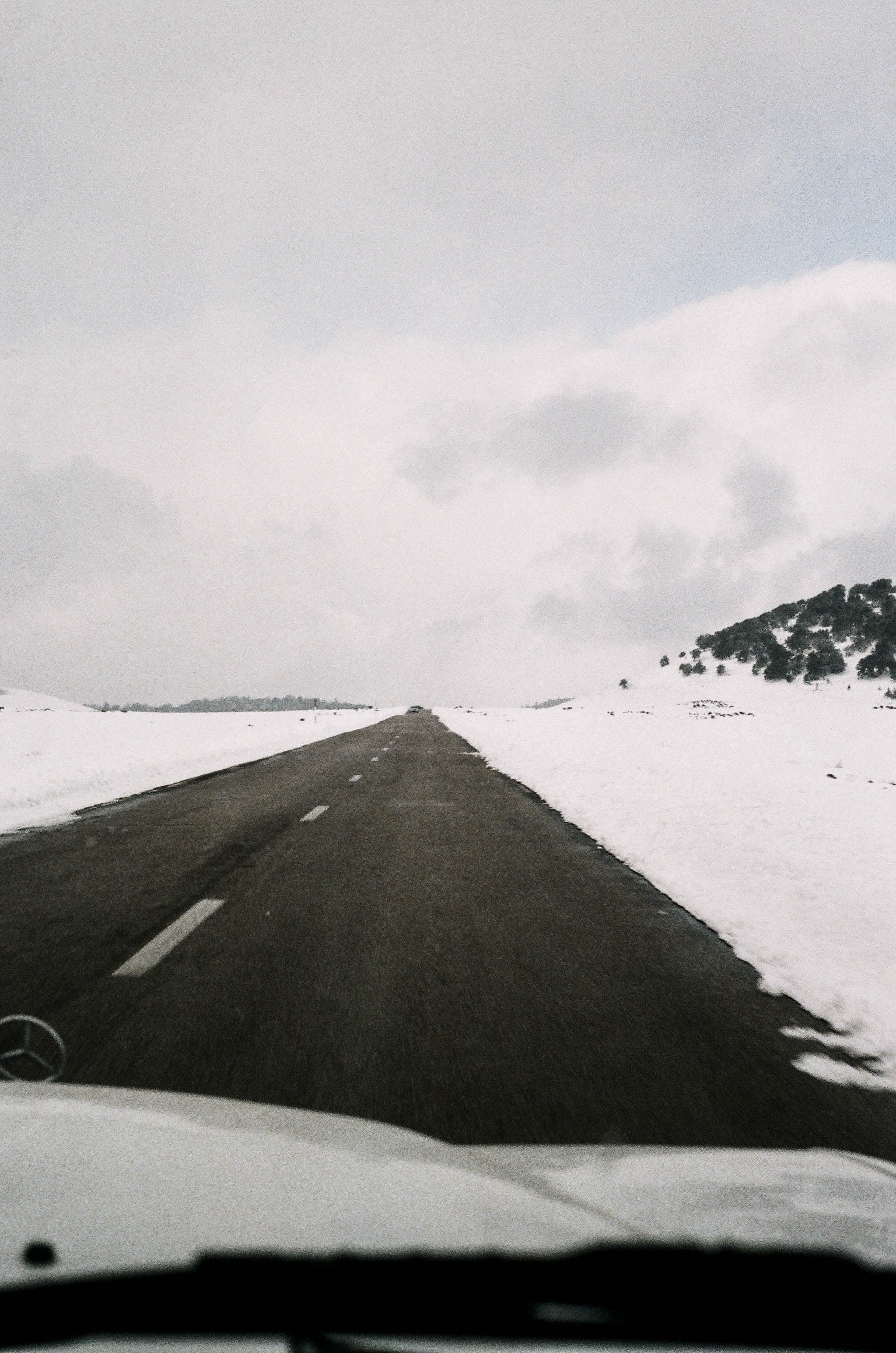 Leste 4 // Eleonora Aronis