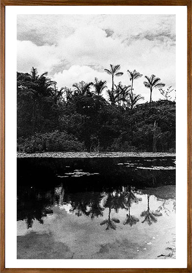 Pará // Eleonora Aronis