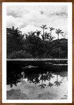 Pará // Eleonora Aronis