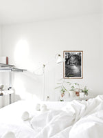 Floresta // Eleonora Aronis