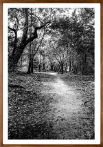 Floresta // Eleonora Aronis