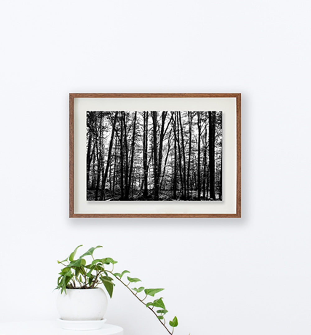 La Fageda 1 // Eleonora Aronis