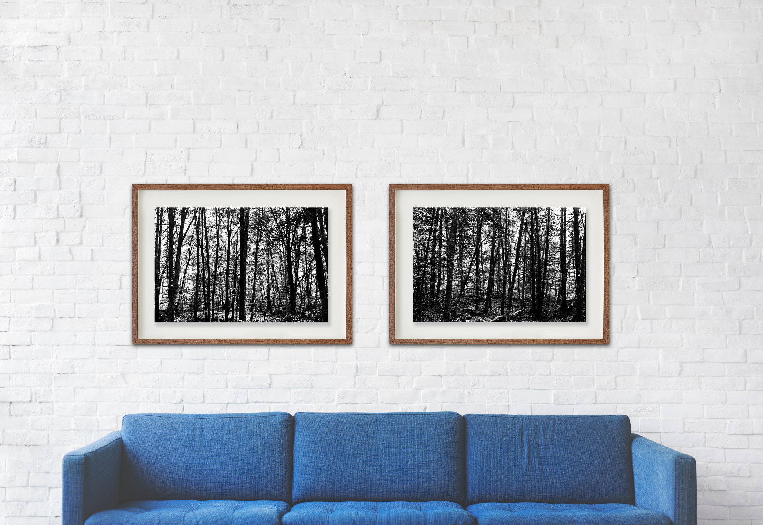 La Fageda 2 // Eleonora Aronis