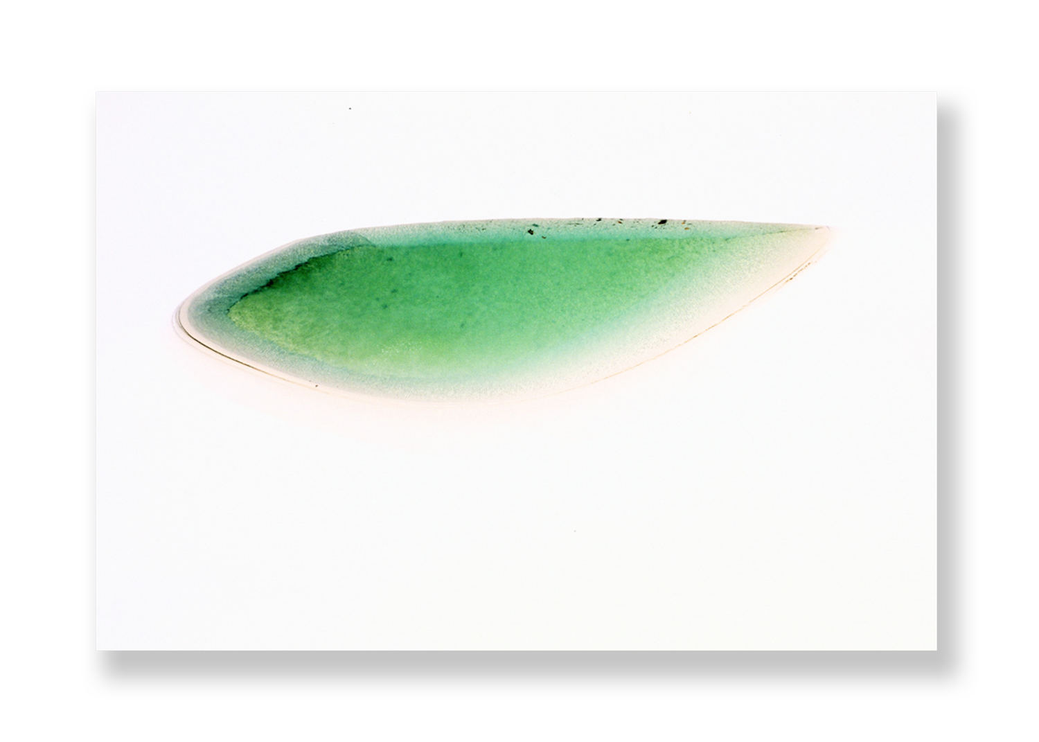 Lagoa I // Eleonora Aronis