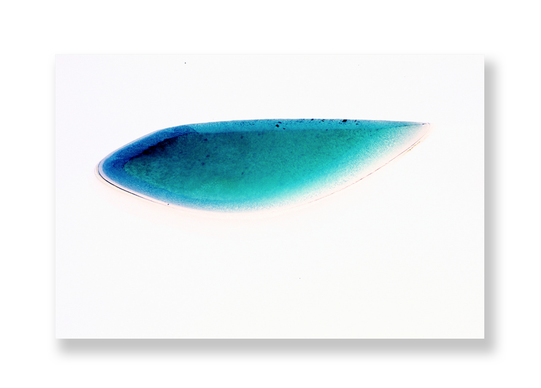 Lagoa IV // Eleonora Aronis