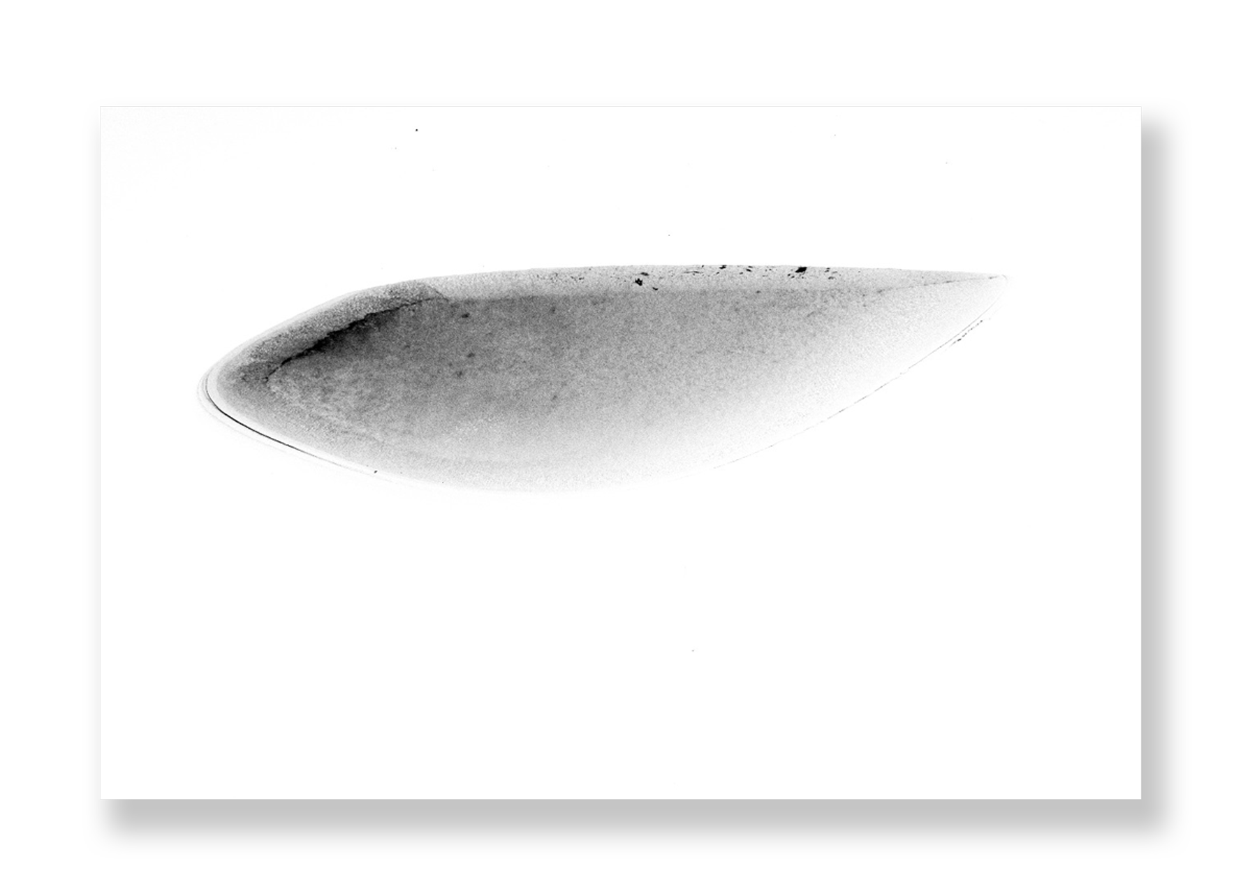 Lagoa V // Eleonora Aronis