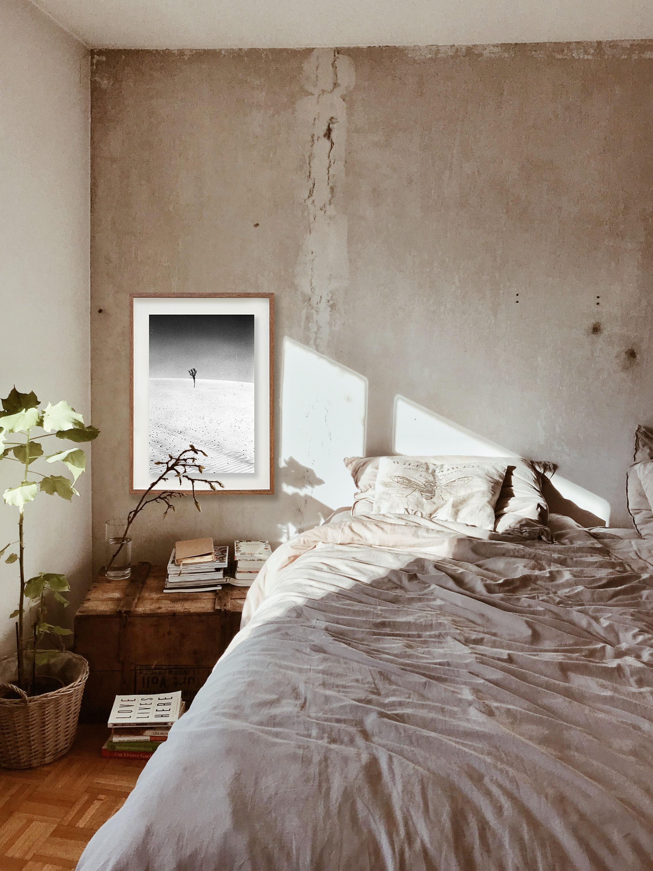 A árvore // Eleonora Aronis